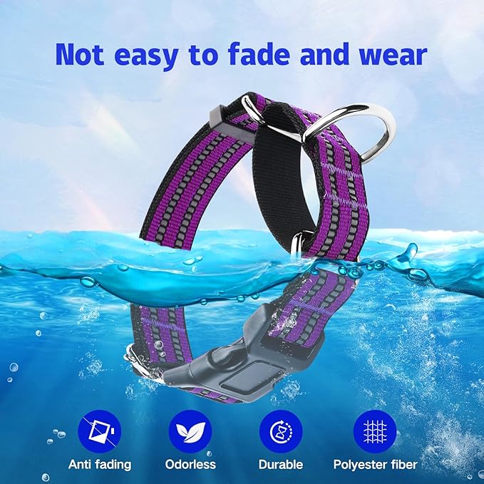 Martingale Dog Collar, Adjustable Nylon Reflective Collar with Quick Release Buckle (Real Purple, Medium)