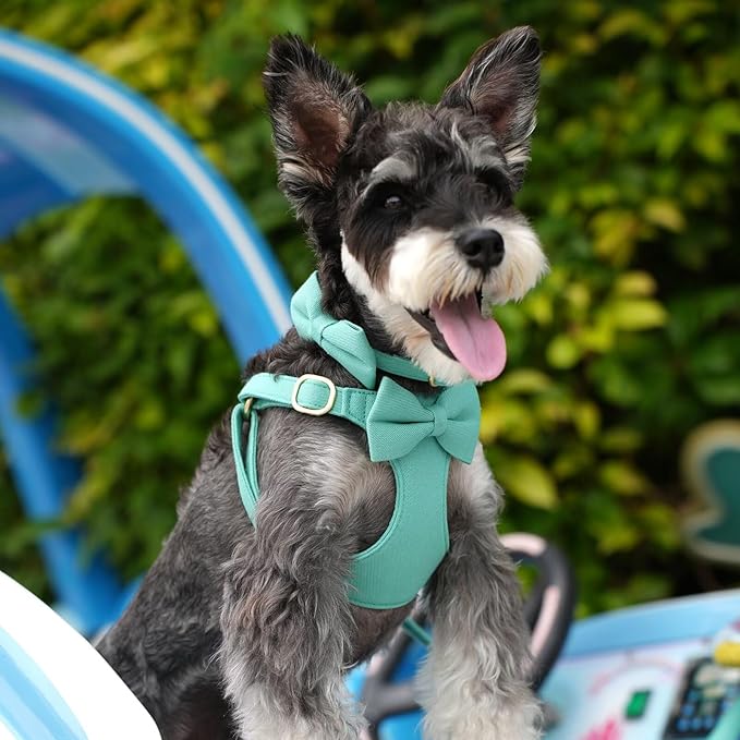Beirui Adorable Small Dog Harness Collar and Leash Set,Cute Puppy Harness Set with 3 Bows for Small Dogs,Shih Tzu,Dachshund,Adjustable Step-in Vest for Daily Walking,Parties&Holiday Outfits(Teal,S)