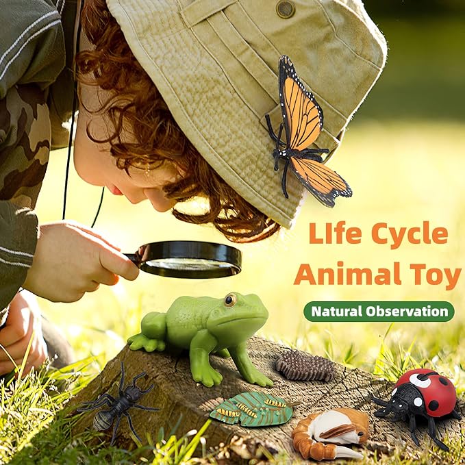 Montessori Chicken Life Cycle with Flash Cards, Realistic Animal Figurines Toy, Animal Educational Matching Game for 3+ Year Old Kids (Cock)