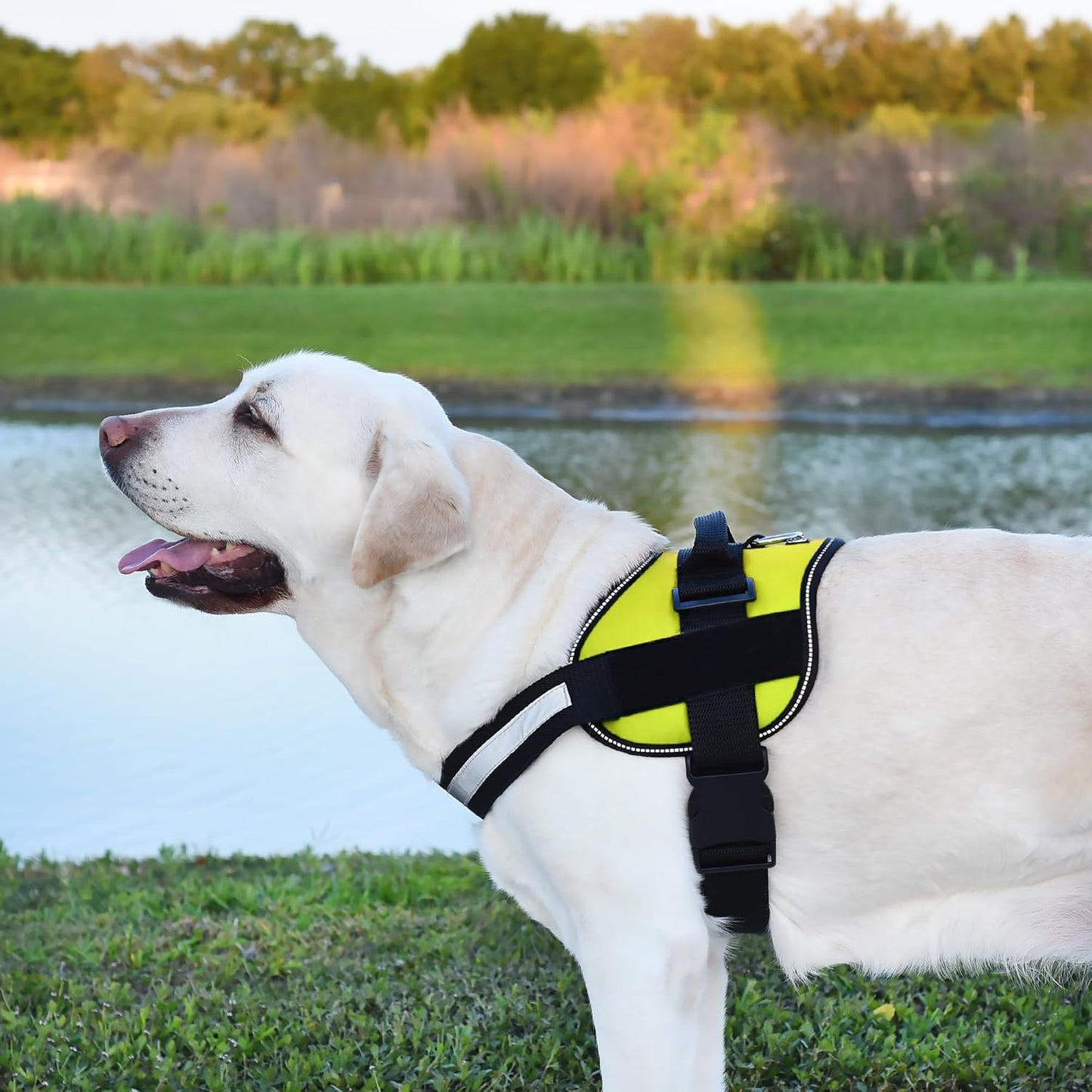 Dogline Dog Harness, Reflective No-Pull Adjustable Vest with Handle for Walking, Training, Breathable, No - Choke Harness for Small, Medium or Large Dogs Room for Patches Girth 27 to 34 in Lime Green