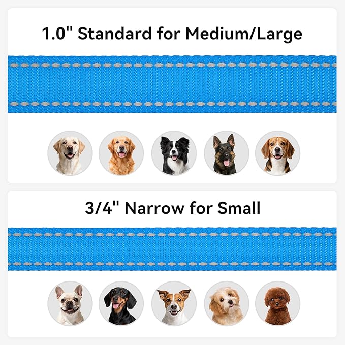 Joytale Dog Leash, 6 FT Double-Sided Reflective, Padded Handle Nylon Heavy Duty Leashes for Small Dogs Walking, Teal