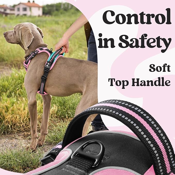 rabbitgoo Dog Harness Small Sized, No Pull Pet Harness with 3 Buckles, Adjustable Soft Padded Vest with Control Handle, Walking Reflective Pet Vest for Small Dogs, Black & Pink, S