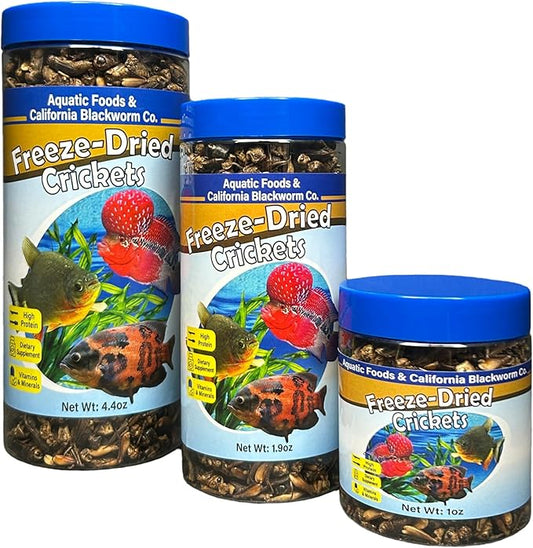 Aquatic Foods Inc. Crickets, Freeze Dried Crickets for Large Tropical Fish, Monster Fish, Reptiles, Turtles, Tortoises, Frogs, Hamsters, Birds, Rodents 3oz Canister
