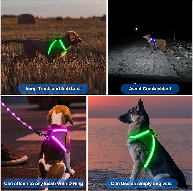 ChalkLit Light Up Dog Harness, No Pull Led Dog Harness Glow-in-The-Dark for Night Walking, USB Rechargeable Lighted Safety Vest for Small Dogs, Adjustable Soft Mesh Fully Illuminated (Blue, Small)