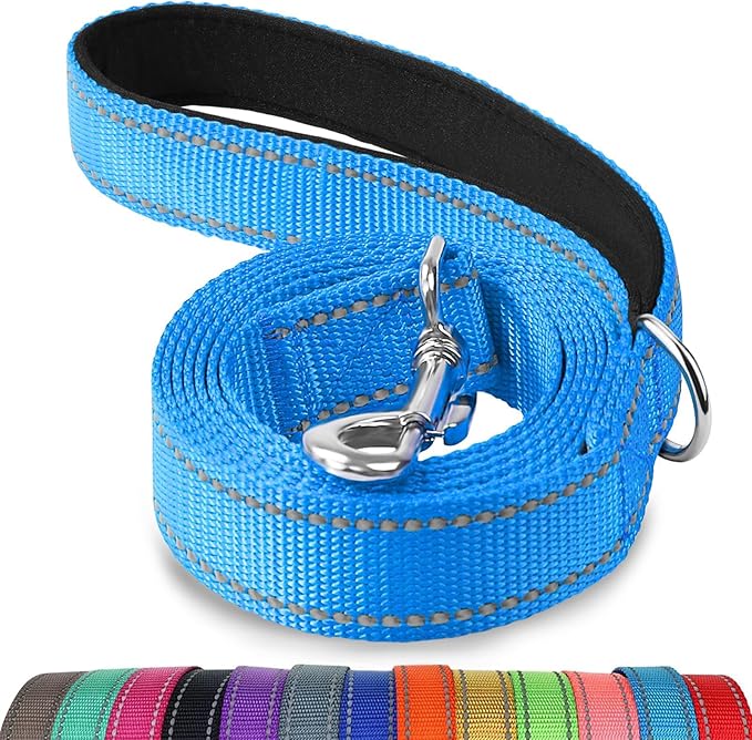 Joytale Dog Leash, 5 FT Double-Sided Reflective, Padded Handle Nylon Heavy Duty Leashes for Medium & Large Dogs Walking, Sky Blue