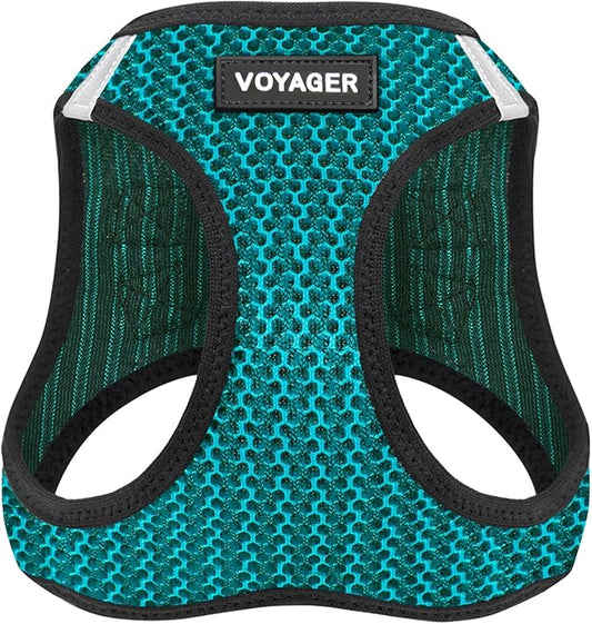 Best Pet Supplies Voyager Step-in Air Harness - All Weather Mesh, Reflective, No Pull Harness for Dogs, Cats - Secure with Hook & Loop Fastener, Buckle, Double D-Rings - Turqupise 2-Tone, XS