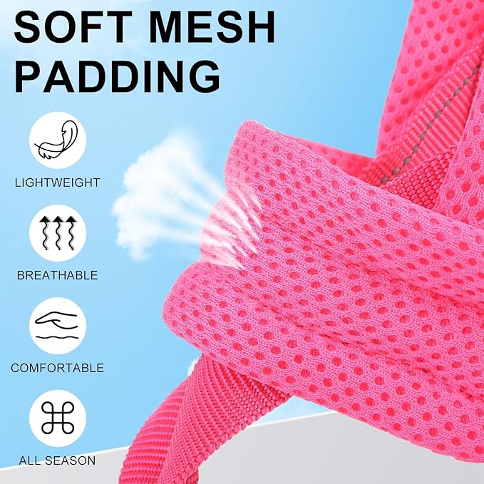BEAUTYZOO Dog Harness for Small Dogs, No Pull Dog Harness and Leash Set, Soft Escape Proof Puppy Vest Harness with Handle, Reflective Lightweight Step in Harness for Girl Boy Dogs, Pink S