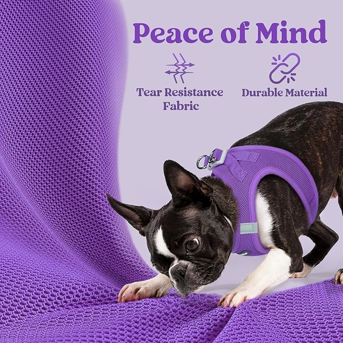 rabbitgoo Small Dog Harness, Step-in Soft Mesh Puppy Vest with Safety Buckle, Breathable Reflective Pet Harness for Large Dogs, Purple XXL