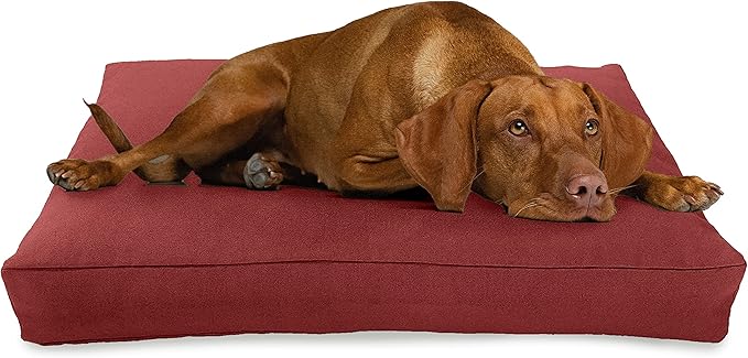Small - 30 x 20 x 4 - Cranberry Premium Organic Hemp Dog Bed - Organic Latex Fill - Removeable Cover