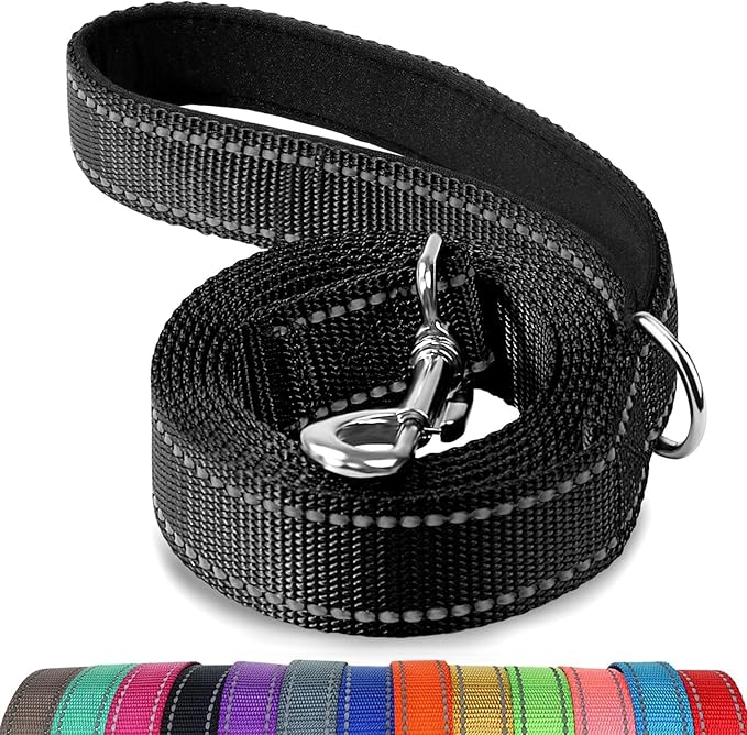 Joytale Dog Leash, 6 FT Double-Sided Reflective, Padded Handle Nylon Heavy Duty Leashes for Medium & Large Dogs Walking, Black