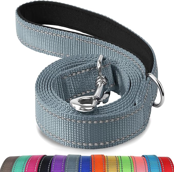 Joytale Dog Leash, 4 FT Double-Sided Reflective, Padded Handle Nylon Heavy Duty Leashes for Small Dogs Walking, Grey