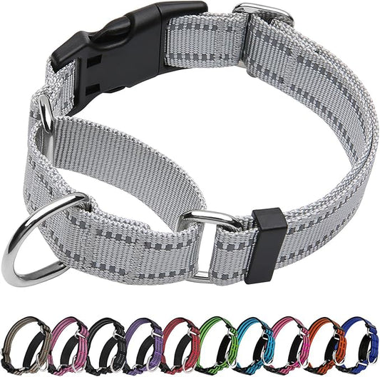 Martingale Dog Collar, Adjustable Nylon Reflective Collar with Buckle No Pull Dog Collar for Small Medium Large Dogs (Grey,L)