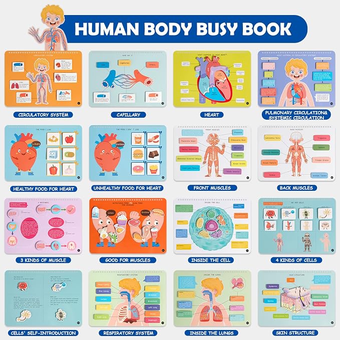 Freebear Montessori Busy Book for Kids, Human Body Anatomy Book for Toddlers, Preshool Kindergarten Learning Activities, Autism Sensory Toys, Gifts for Girls and Boys 4 5 6 7 Years - Human Body System