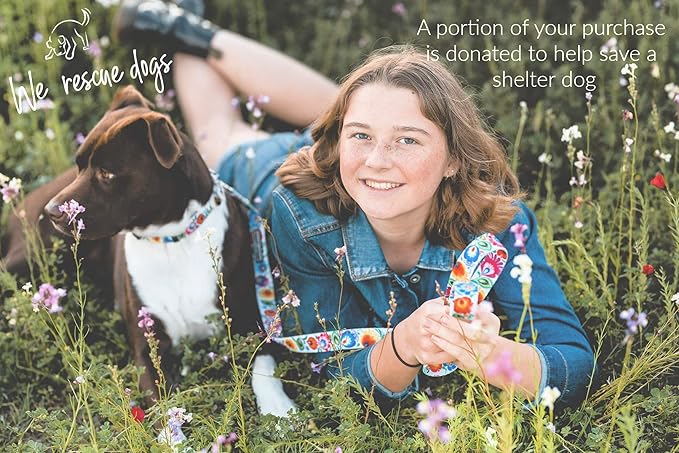 Lucky Love Dog - Adjustable Dog Collar with Easy Click Buckle for Small Dogs, Durable, & Comfortable for Male & Female Dogs, Pet Collar for Puppies & Adult Dogs - Ladybird, Small