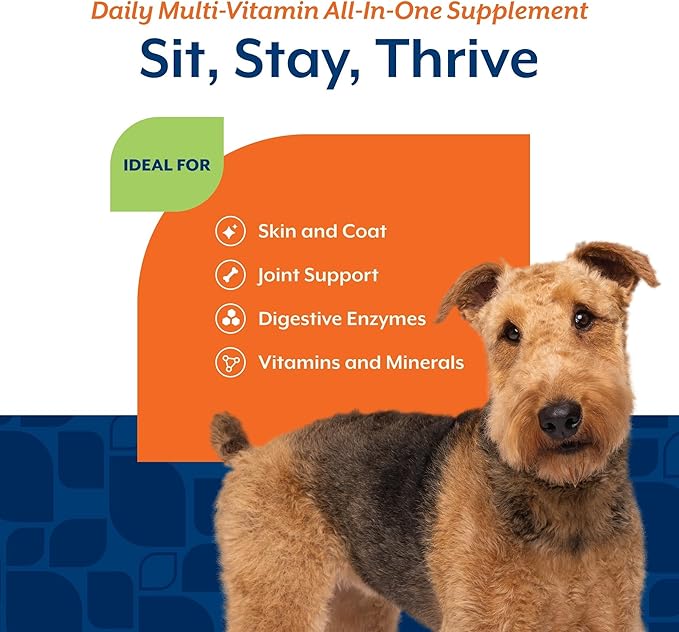 NaturVet All-in-One Dog Supplement - for Joint Support, Digestion, Skin, Coat Care – Dog Multivitamins with Minerals, Omega-3, 6, 9 – Wheat-Free Vitamins for Dogs – 60 Soft Chews