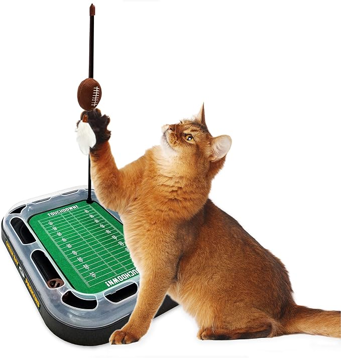 Pets First Green Bay Packers Cat Scratcher