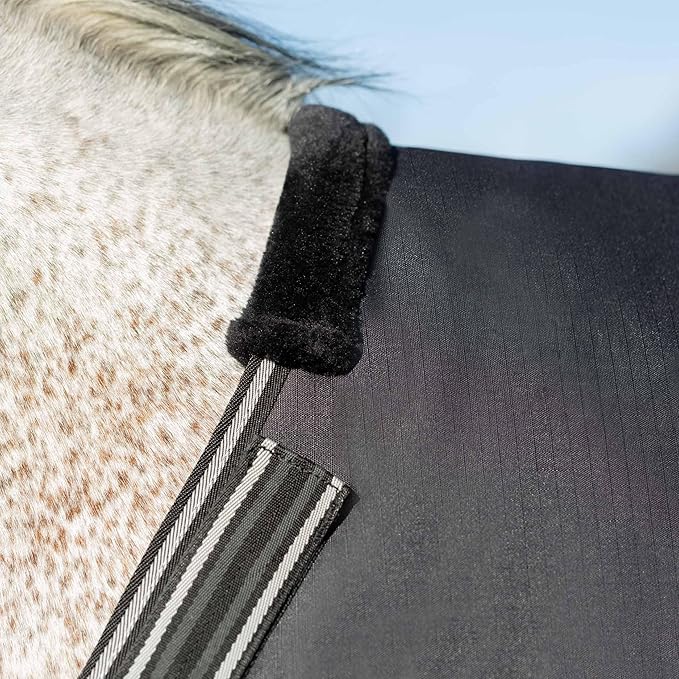 Equinavia Norse Lightweight 100g Fill Horse Rain Blanket | Waterproof Turnout Sheet - Black - 66 in - Black - 81 in