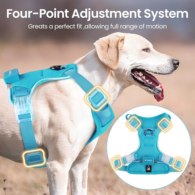 Light Up Dog Harness,Reflective Pet Harness Rechargeable,Led Dog Vest Harness for Night Walking,Adjustable Dog Safety Vest for Small Medium Large Dogs-No Pull,Blue,M
