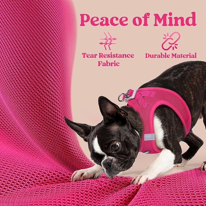 rabbitgoo Small Dog Harness, Step-in Soft Mesh Puppy Vest with Safety Buckle, Breathable Reflective Pet Harness for Small Sized Dogs, Rose Red M