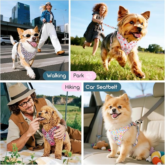 Pawaboo Small Dog Harness and Leash Set, Puppy Harness X-Frame No Pull No Choke, Dog Vest Harnesses Adjustable for Small Medium Sized Dogs,Soft Breathable Pet Harnesses, M, Colorful Leopard
