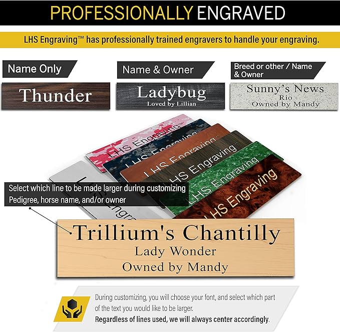 Personalized Horse Stall Name Plates, 2x8 Horse Stall Signs with Adhesive, All Weather UV Protected, Blue Plastic with White Letters - Made in USA - B9