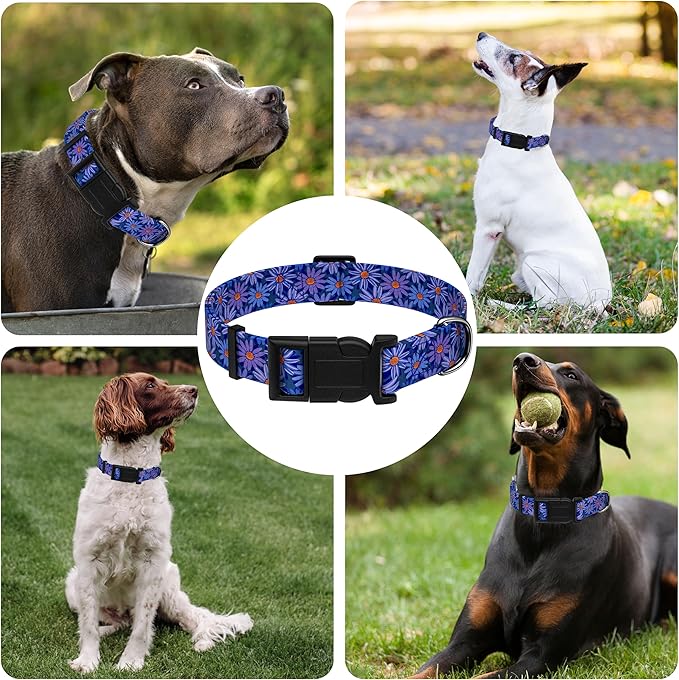 Dog Collar, Classical Indian Spirit Boys Girls Puppy Collar for Small Medium Large Dogs, Adjustable Soft Indian Pet Collar with Safety Buckle for Male Females(Purple,XS)