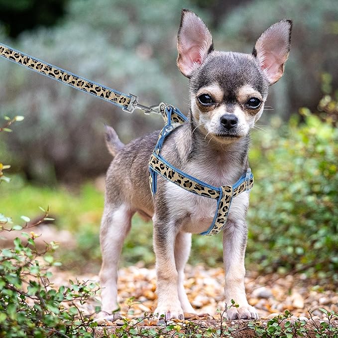 Mile High Life Leopard Dog Harness Collar Leash Set, Adjustable No Pull Dog Halter Harness for Small Breed Dogs, Easy Control for Training Walking (Blue, M Chest 15"-21", Neck 13"-17")