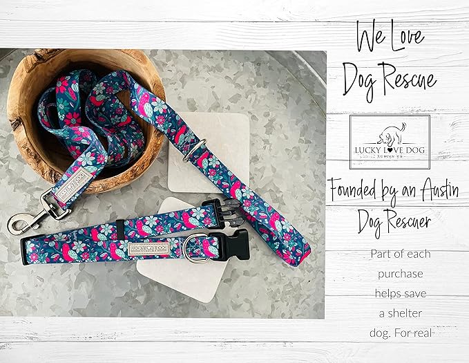 Lucky Love Dog - Adjustable Collar and Leash Set with Easy Click Buckle for Large Dogs, Durable, & Comfortable Collar for Male & Female Dogs, Puppies & Adult - CarrieBelle Combo, Large