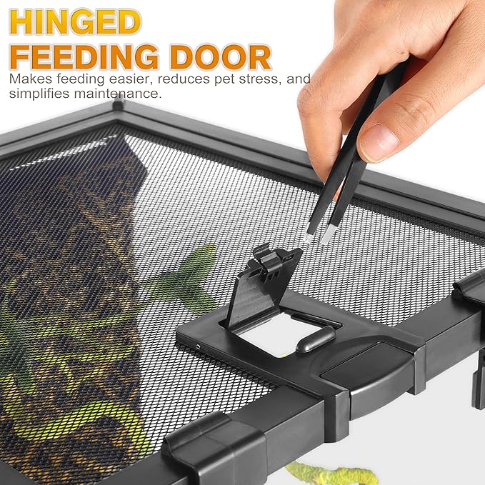 Mini Reptile Glass Terrarium Vivarium 12'' x 12'' x 12'' Full View Tank Small Amphibians Glass Habitat Cage with Feeding Slot & Box Lock Buckle