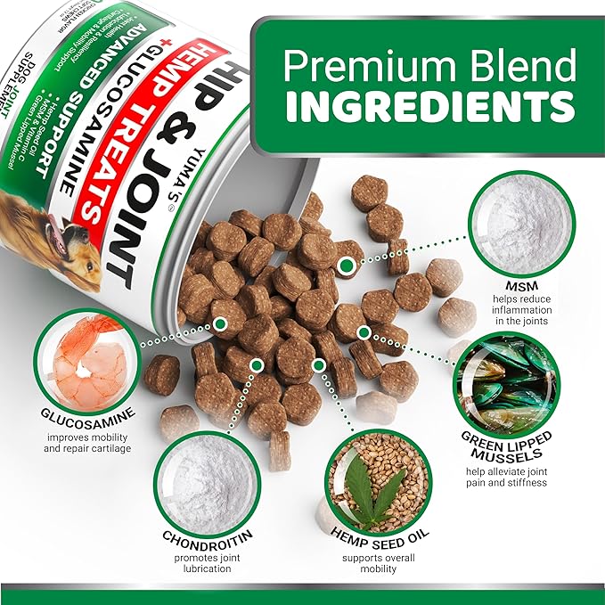 YUMA'S Hemp Hip and Joint Supplement for Dogs - Glucosamine for Dogs - 170 Joint Pain Relief Chews - Chondroitin, MSM - Hemp Oil - Advanced Canine Health Supplement - Mobility Support Treats