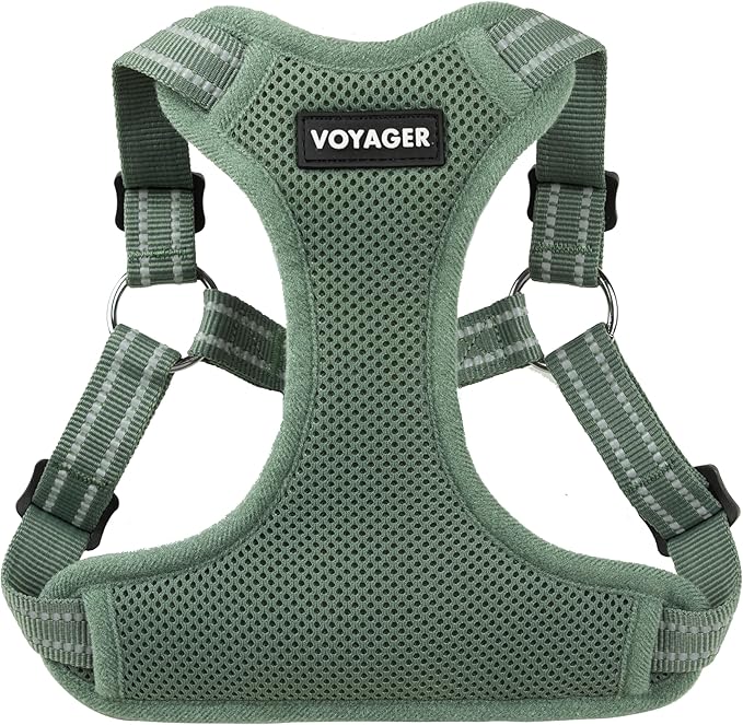 Best Pet Supplies Voyager Adjustable Step-in Flex Breathable Mesh Dog Harness for Small Medium Large Dogs Moss Green, L