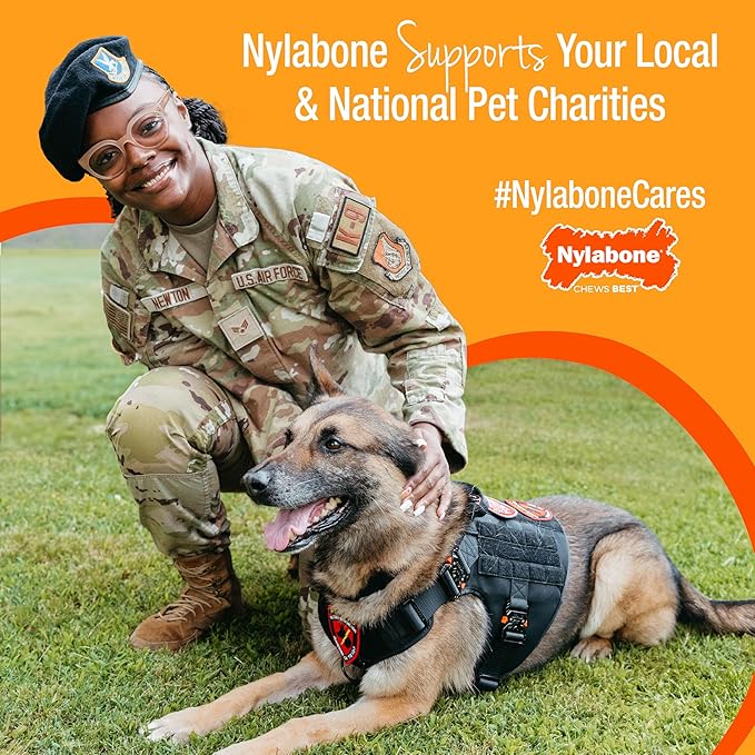 Nylabone Original Bone Flexi Chew Toy for Dogs, Dog Toys for Moderate Chewers, Dog Chew Bones, Chicken & Original Flavor, For Small Dogs - Up to 25 Ibs, 3 Pack