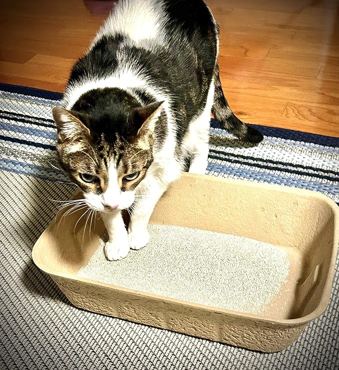 Midlee Disposable Cat Litter Boxes Pack of 5- Travel Portable Pet Tray Liner Pan