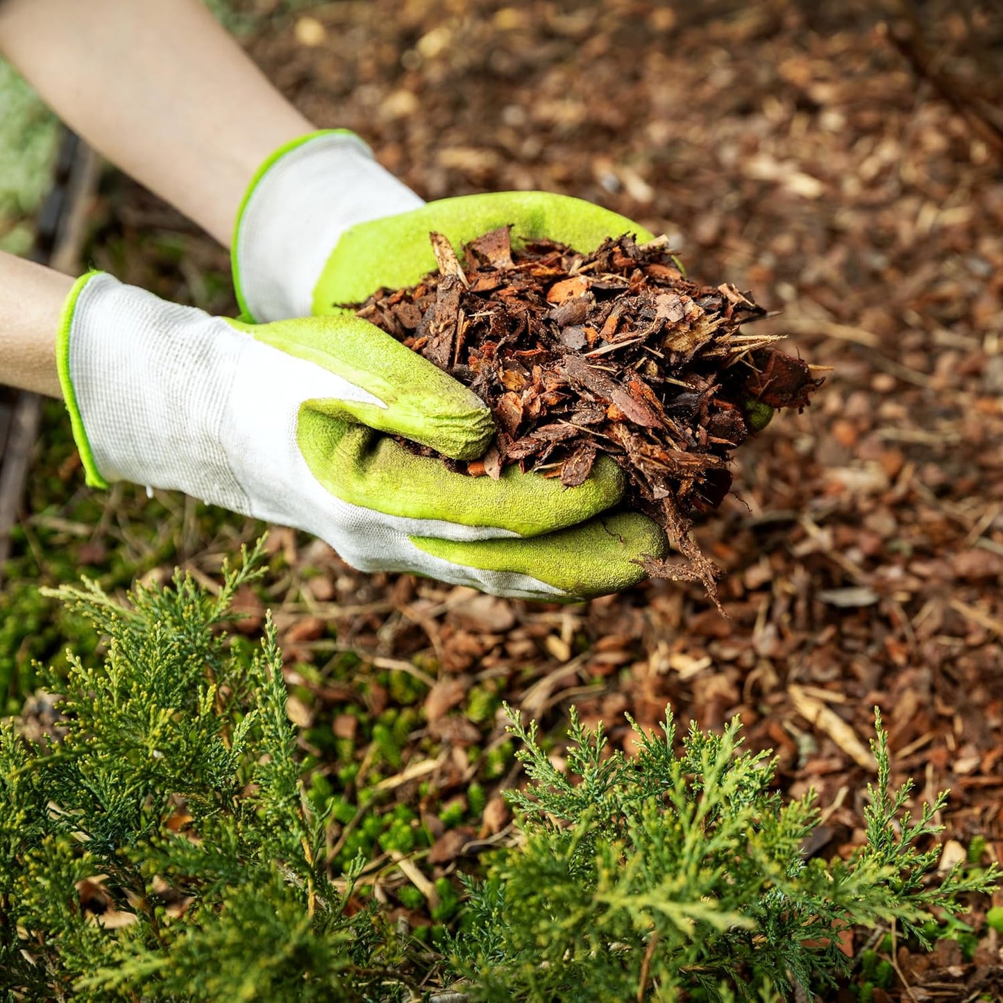 Premium Cypress Mulch for Landscaping, Gardens, Lawns, Reptile Bedding, and Potted Plants (1 CF - 28 L - 30 QTS)