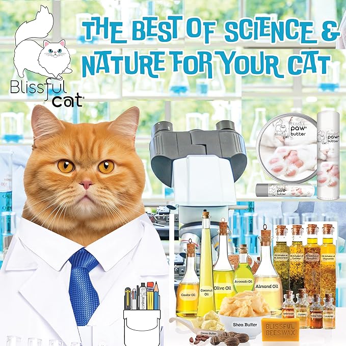 The Blissful Cat Paw Butter, Moisturizer for Dry Paw Pads, Softens and Protects a Rough Paw, Versatile, Lick-Safe Cat Paw Balm, 0.50 oz.