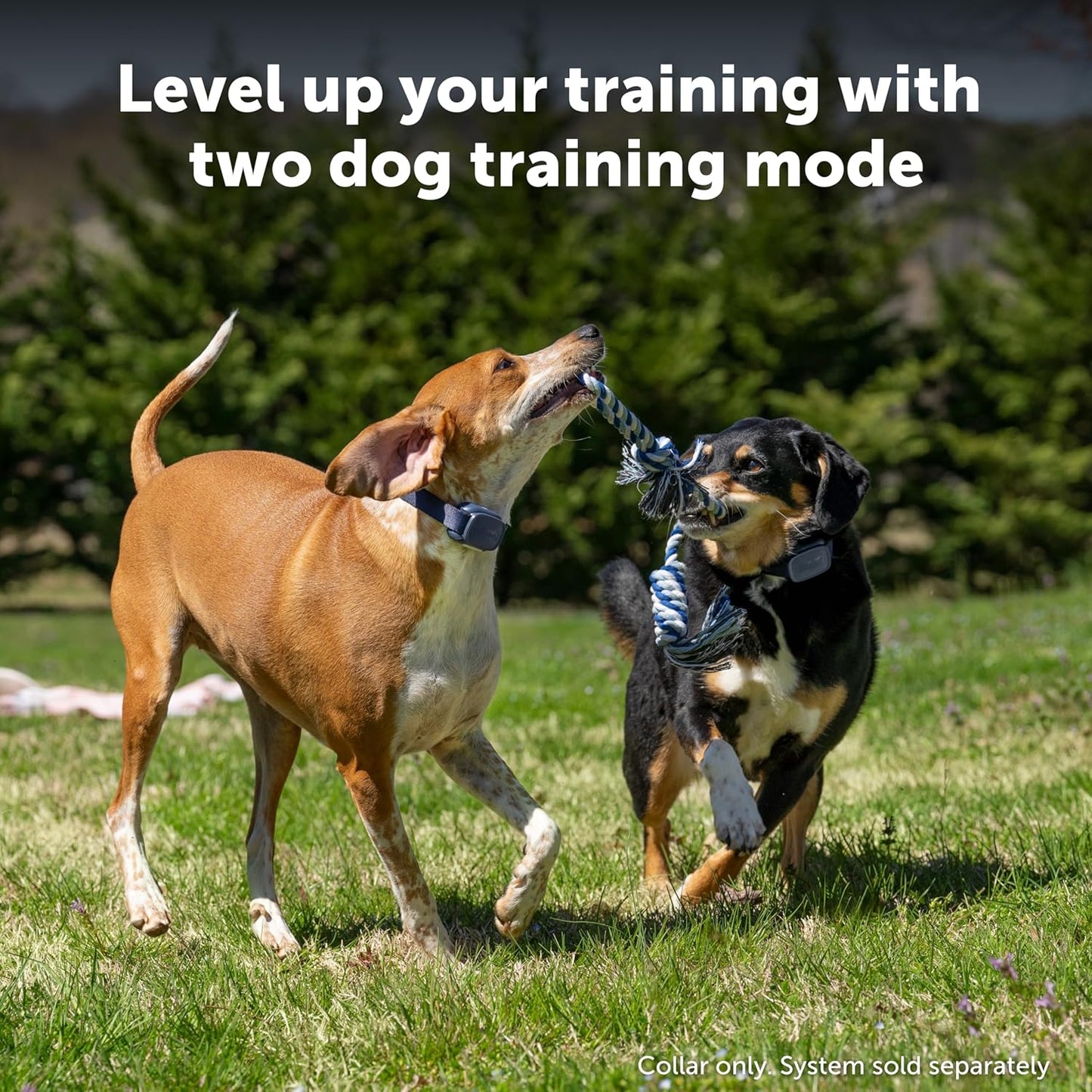 PetSafe Core Remote Trainer Add-A-Dog Collar – Extra Collar for Dog Training Collar with Remote – Waterproof – Tone, Vibration and 15 Levels of Static – Built-in LED Light