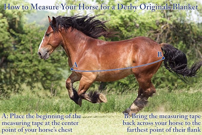 Derby Originals Nordic-Tough 1200D Heavyweight Mini Horse & Pony Turnout Blanket – Waterproof, Breathable, 300g Insulation, 210T Lining, Reflective, 2-Year Warranty (Turquoise, 48")