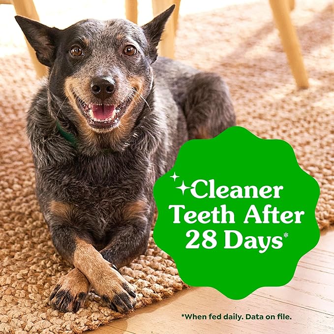 Greenies Veterinarian-Recommended Adult Natural Dental Dog Treats Petite Size, Fresh Flavor, 12 oz. Pack, 20 Count