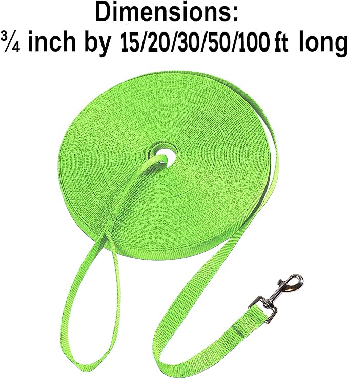 Hi Kiss Dog/Puppy Obedience Recall Training Agility Lead - 15ft 20ft 30ft 50ft 100ft Training Leash - Great for Training, Play, Camping, or Backyard (50 Feet, Green)