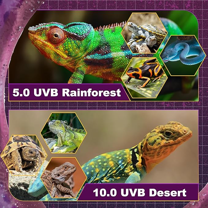 T5 HO UVB Lighting Combo Kit, 24W Reptile Light Fixture with Fluorescent Light Bulbs, Desert 10.0 UVB Light for Reptiles and Amphibians, Basking Light for Bearded Dragon, High Output Natural Light