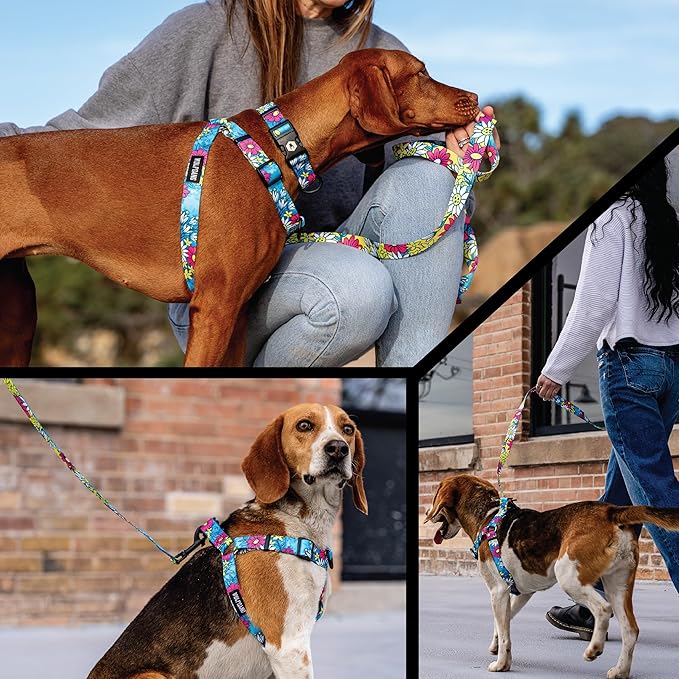 Wolfgang Heavy Duty Adjustable Dog Harness, Pull-Tested for Walking & Training, LazyDaisy Print, Medium