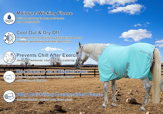 Horse Fleece Cooler, Blanket Liner - 300g Anti-Pilling Fleece, Moisture-Wicking, Cooling & Drying for Post-Workout, Bath & Travel, Prevent Overheating & Chilling Mintgreen 69