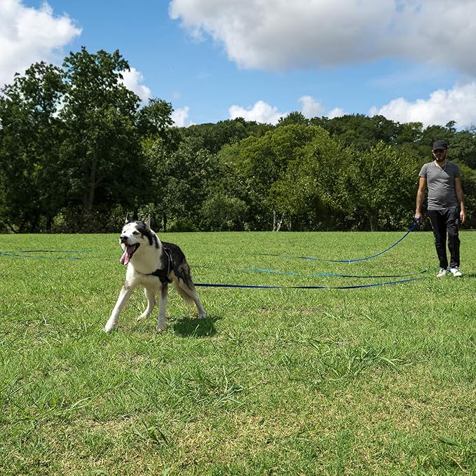 Hi Kiss Dog/Puppy Obedience Recall Training Agility Lead - 15ft 20ft 30ft 50ft 100ft Training Leash - Great for Training, Play, Camping, or Backyard Purple 100 Feet