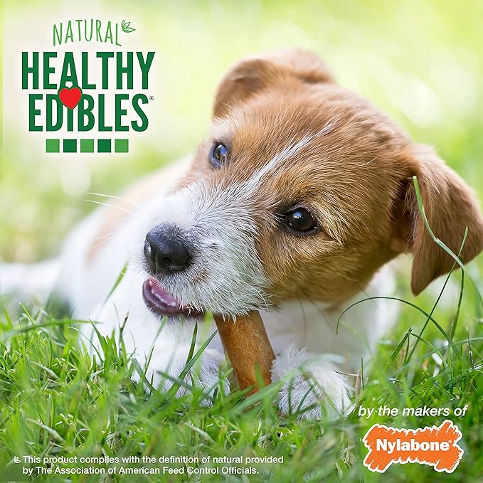 Nylabone Healthy Edibles Natural Dog Chews, Long Lasting Bones for Dogs, Roast Beef & Chicken Flavor Dog Treats, Small (12 Count)