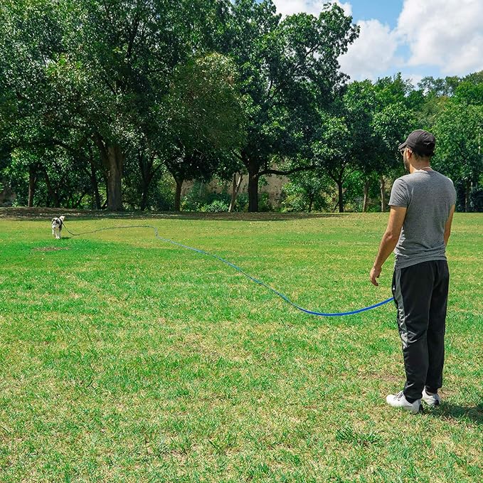 Hi Kiss Dog/Puppy Obedience Recall Training Agility Lead - 15ft 20ft 30ft 50ft 100ft Training Leash - Great for Training, Play, Camping, or Backyard Blue 100 Feet