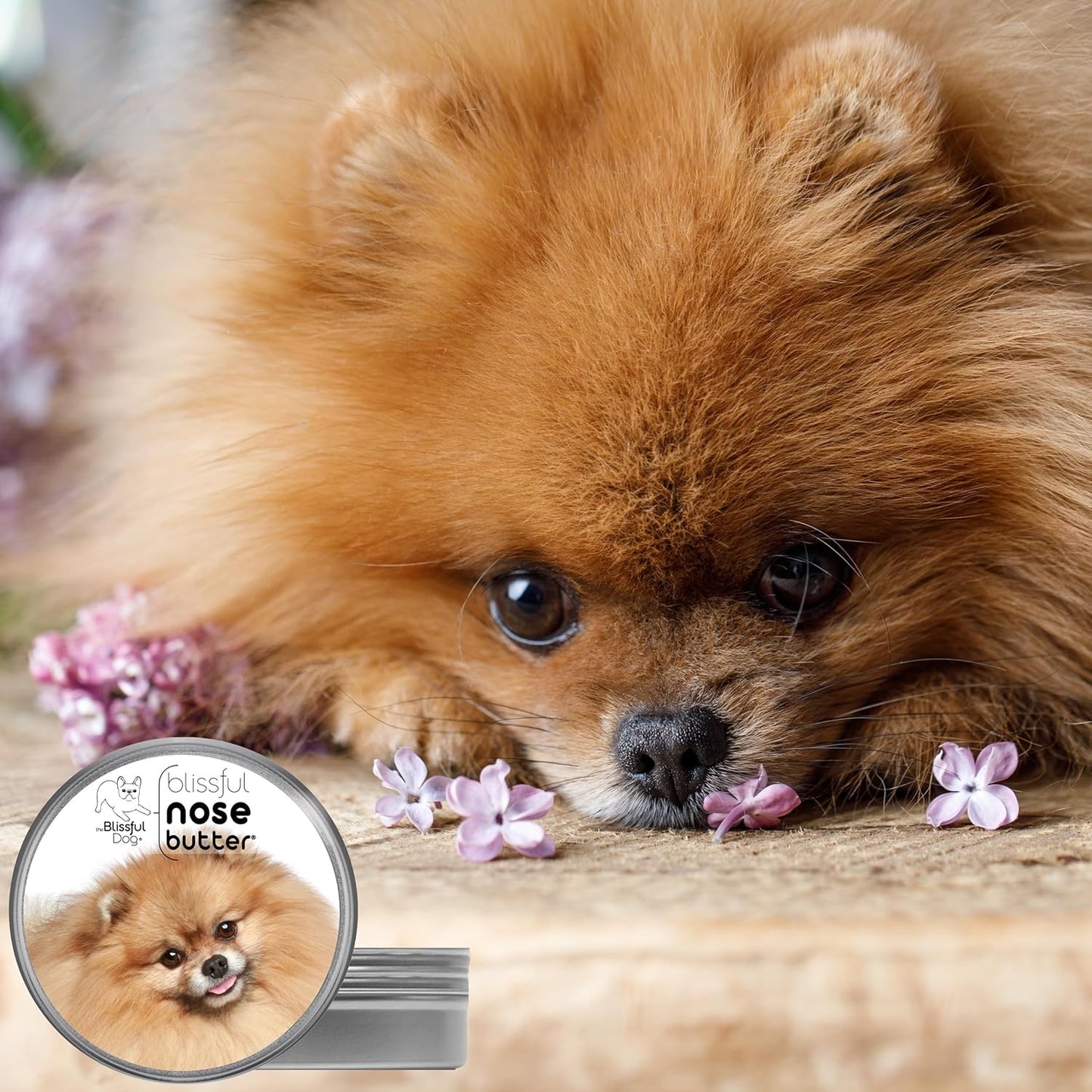 The Blissful Dog Pomeranian Unscented Nose Butter - Dog Nose Butter, 4 Ounce