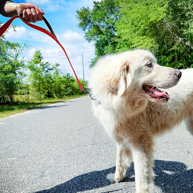 Joytale Dog Leash Heavy Duty for Large Dogs that Pull, Double Handle for Traffic Control, Double-Sided Reflective Leashes for Large Medium Dogs Night Safety, 4FT, Red